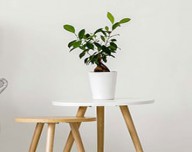 Generic placeholder image 