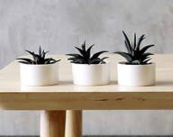 Generic placeholder image 